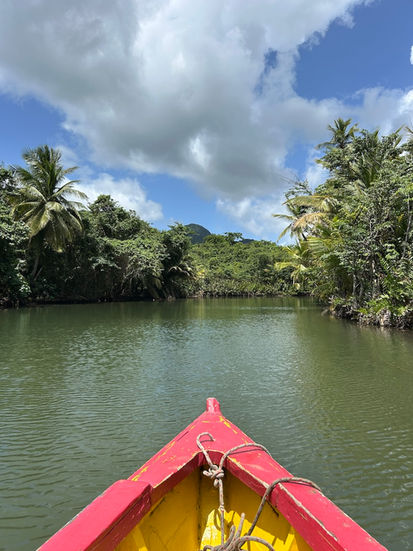 Indian river from the boat