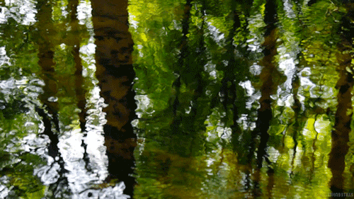 serene water