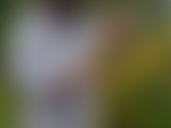 August Update