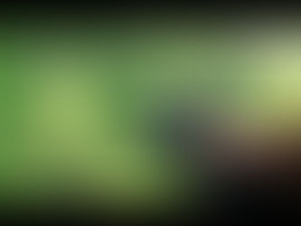 R.A.C.E. and the Bible