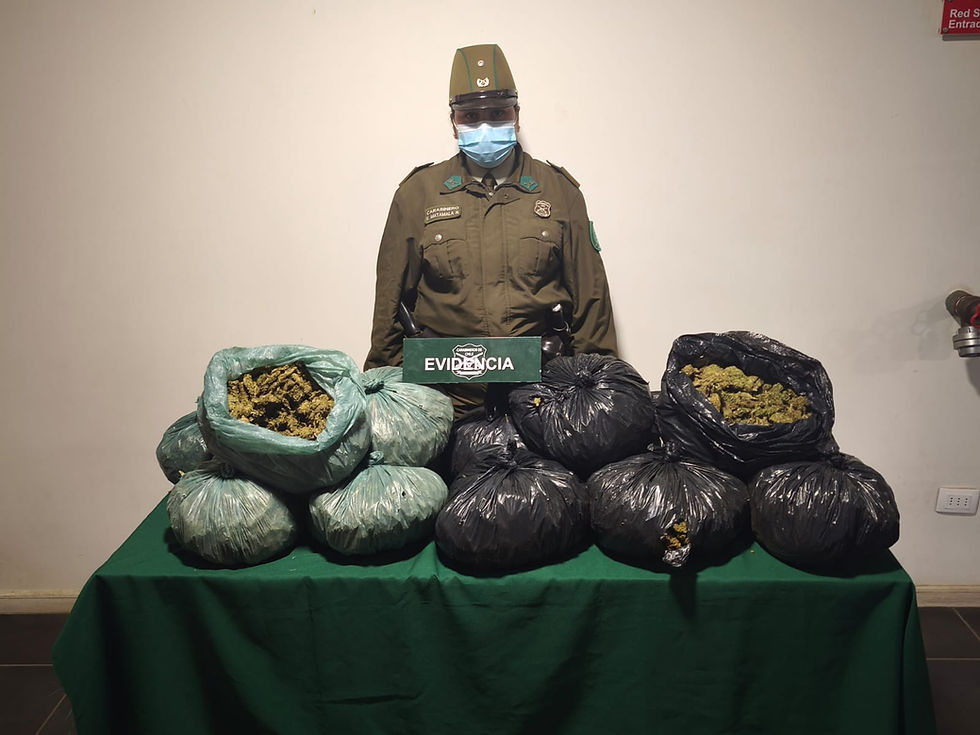 Dos conductores detenidos por tráfico de drogas en Zapallar y La Ligua 