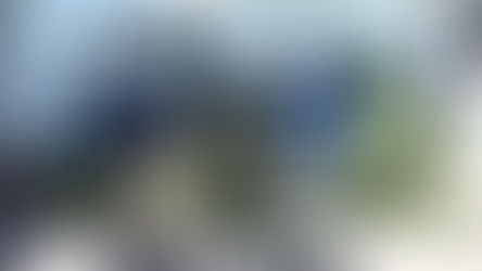 Operativo de la PDI da golpe al narcotráfico en Quillota 