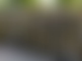 Ronda Impacto ampliada con PDI tuvo 9 detenidos y más de 200 controles