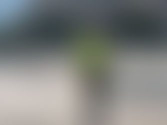 Valparaíso: Cambio de Mando Presidencial