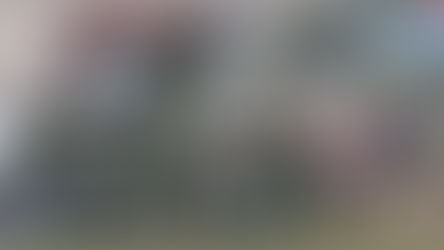 DETENIDO POR INFRACCIÓN A LA LEY DE ARMAS EN LIMACHE