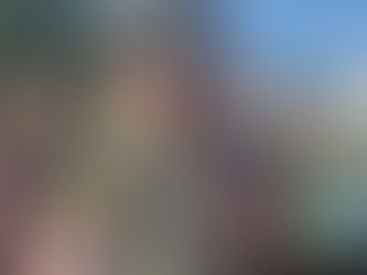 FISCALIZACIÓN MASIVA AL TRANSPORTE ESCOLAR DE VALPARAÍSO Y VIÑA DEL MAR*