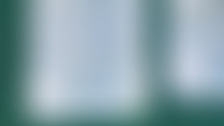 CARABINEROS DECOMISÓ ARMA, MUNICIONES Y DROGAS TRAS FISCALIZACIÓN VEHICULAR EN VALPARAÍSO