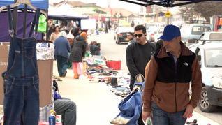 Municipios de Villa Alemana y Quilpué se unen con Carabineros para proteger tradicional feria Ojos de Agua .
