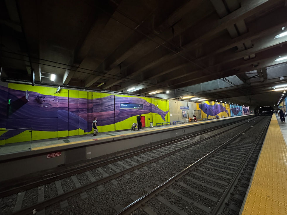 De Estación Miramar al mundo: el retorno de las ballenas que traspasaron fronteras