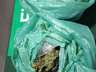 DOS DETENIDAS TRAS CONTROL VEHICULAR EN NOGALES: PORTABAN MARIHUANA