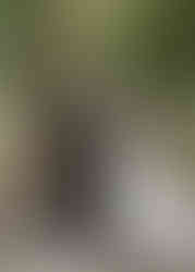 Bryllupsfotograf Larvik, Vestfold og Telemark, Fotograf Mille Gran