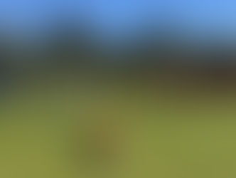 State League Squad cruise into 2nd Round of State Cup