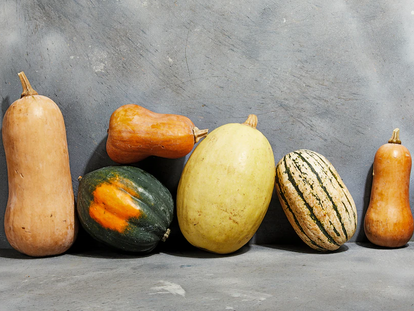Fall squash recipes abound: Our readers share their favorites and ask questions, too