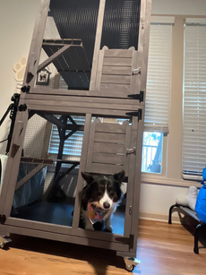 Aivituvin Pets (Catio)