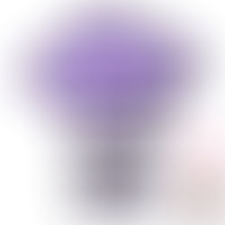 Kooking with Kingsley