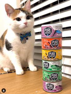 Pure Cravings Pet