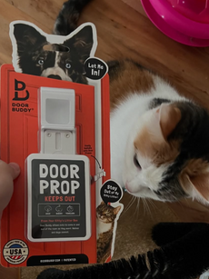 Door Buddy