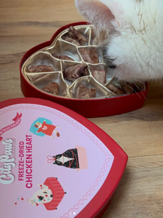 Shop City Paws