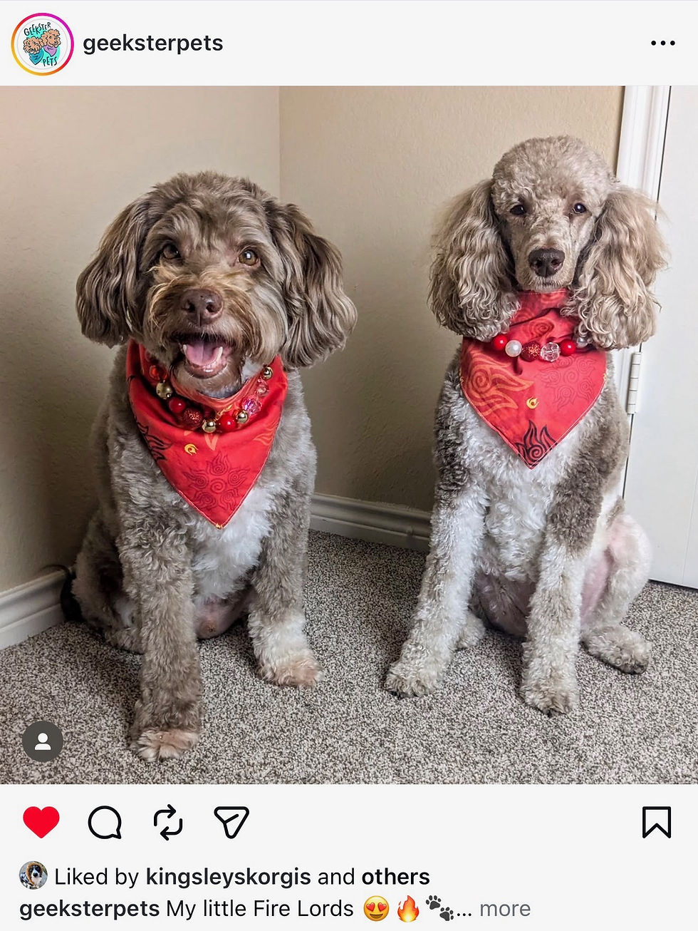 Thumbnail: Pet Necklaces