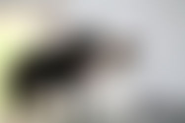 Melody & Nala Photoshoot