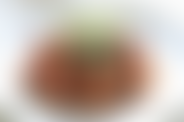 Niku-dango (Japanese Pork Meatballs)