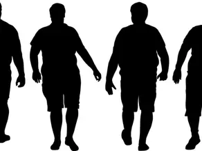 What is Fatshin?