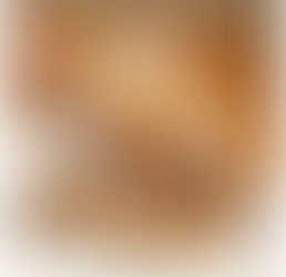 Gingerbread Recipes (Pet friendly)