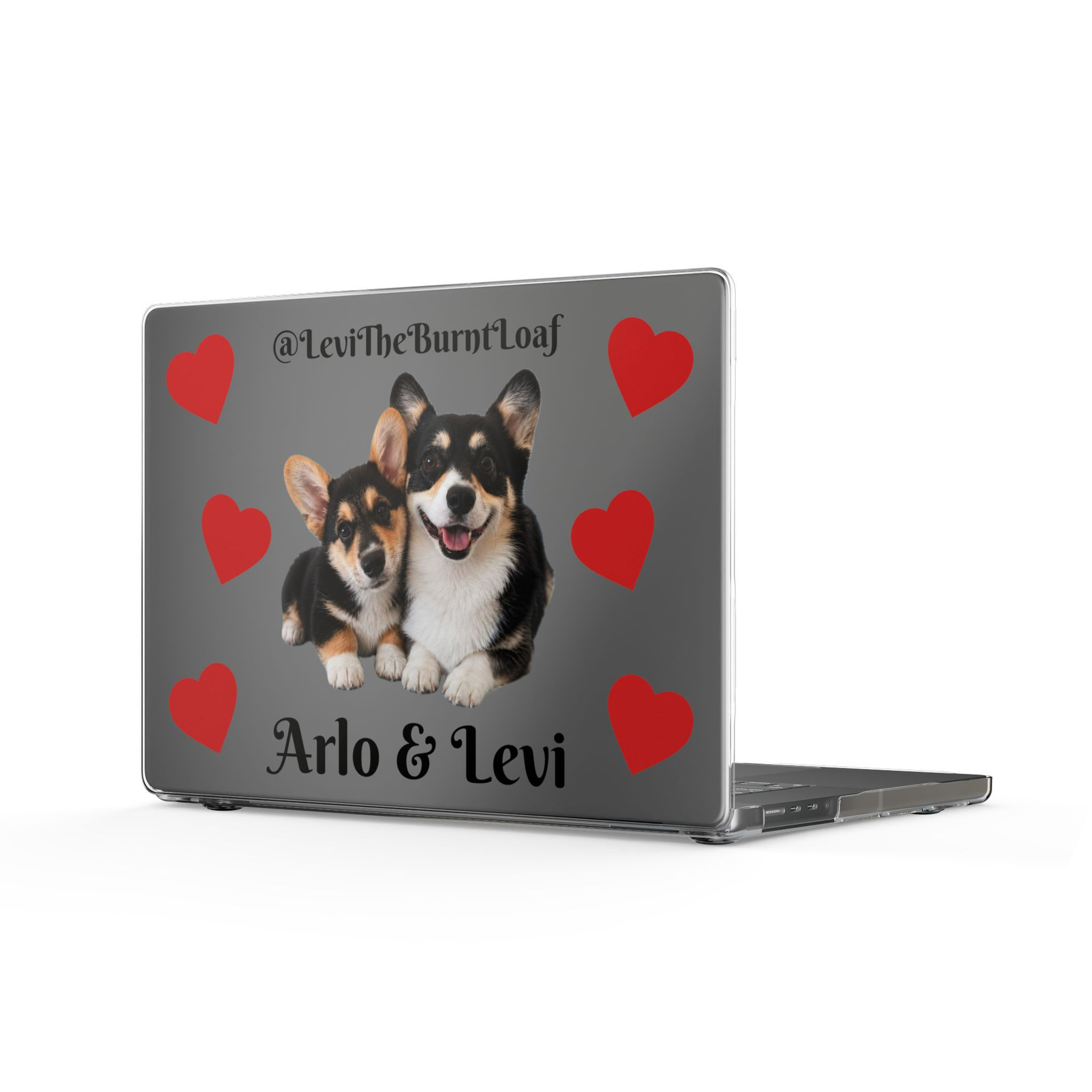 Levi & Arlo (Clear) MacBook Case