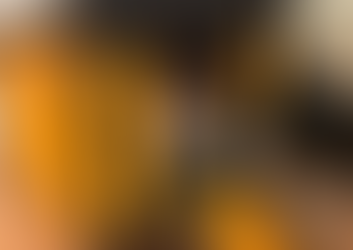 Geguripet (Pet Hutch)