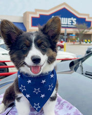 Lowe's Photoshoot & Training