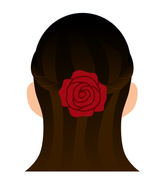 Rosa Hong : Interview & FAQ