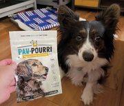 Pawpourri