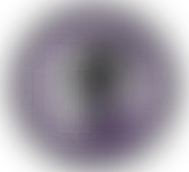 Legacy Dog Training & Gear Shop