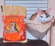 Catalyst Pet Litter
