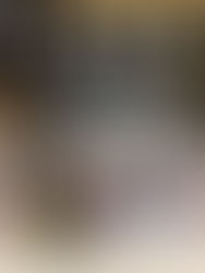 Thanksgiving Pet's Meal