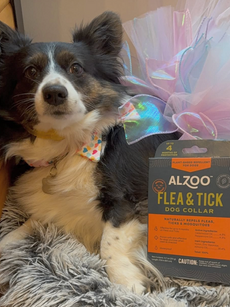 Alzoo Vet