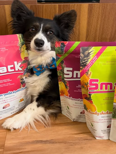 Smack Pet Food