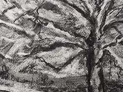 image 1.webp