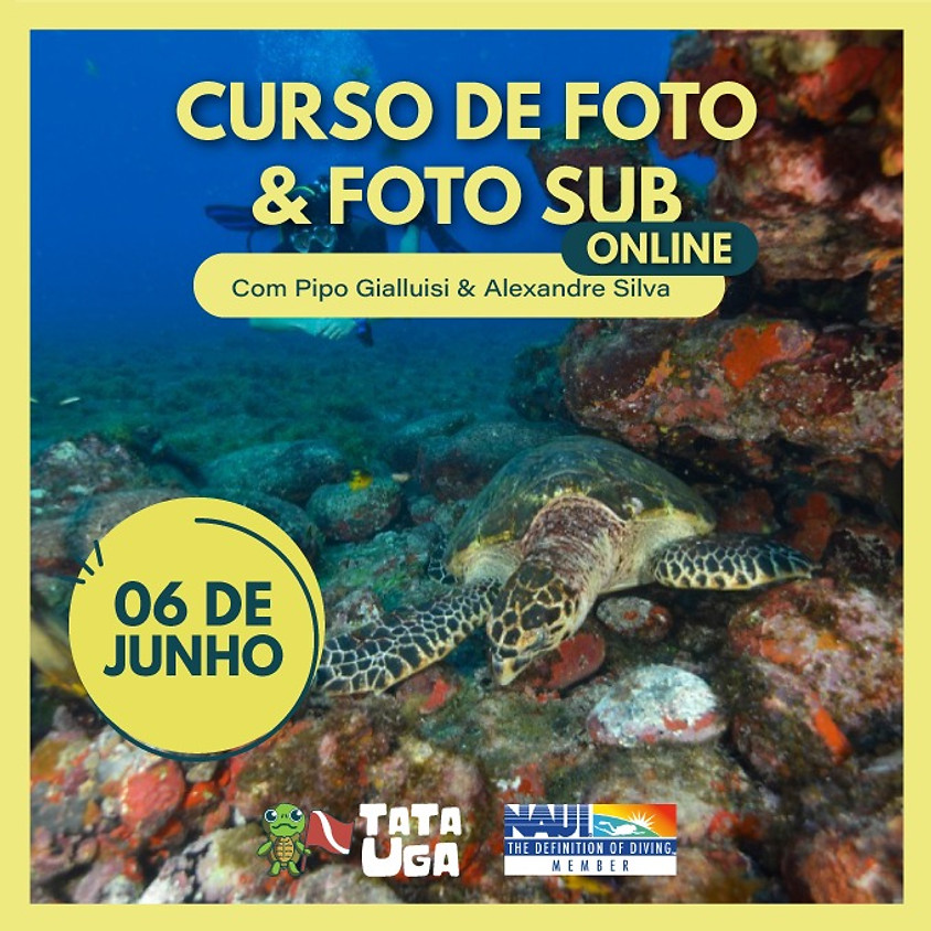 Curso online de Foto & Foto Sub
