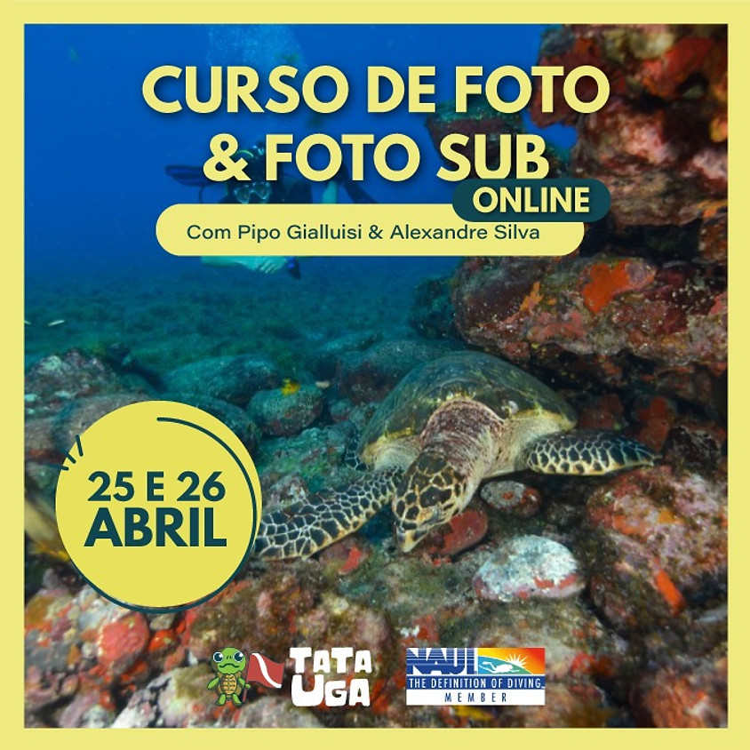 Curso online de Foto & Foto Sub