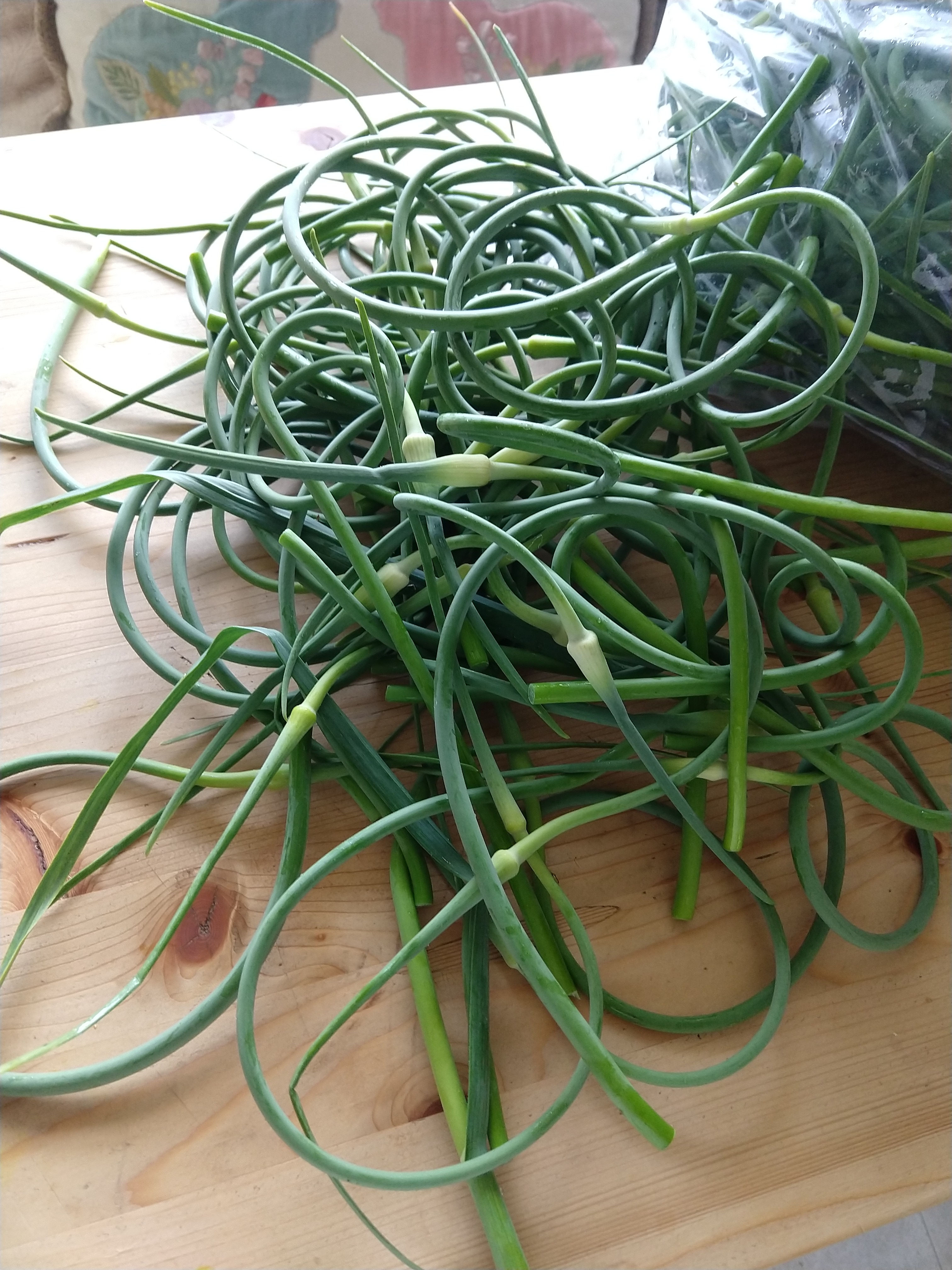 Garlic Scapes