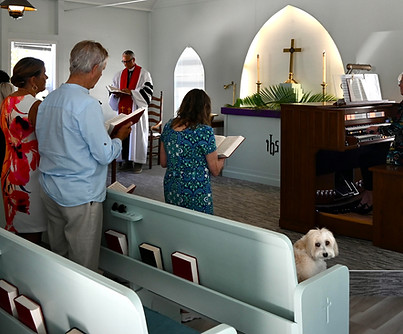 dog friendly 2.jpg
