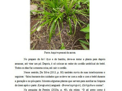 O guarani-kaiowá também é língua da ciência