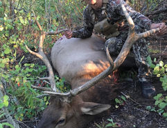 customer with elk after successful hunt