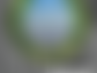 Ren energi indenfor planetære grænser i 2040