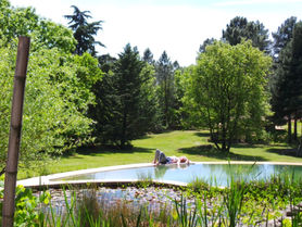 Détente à la piscine - stage méditation et gestion du stress