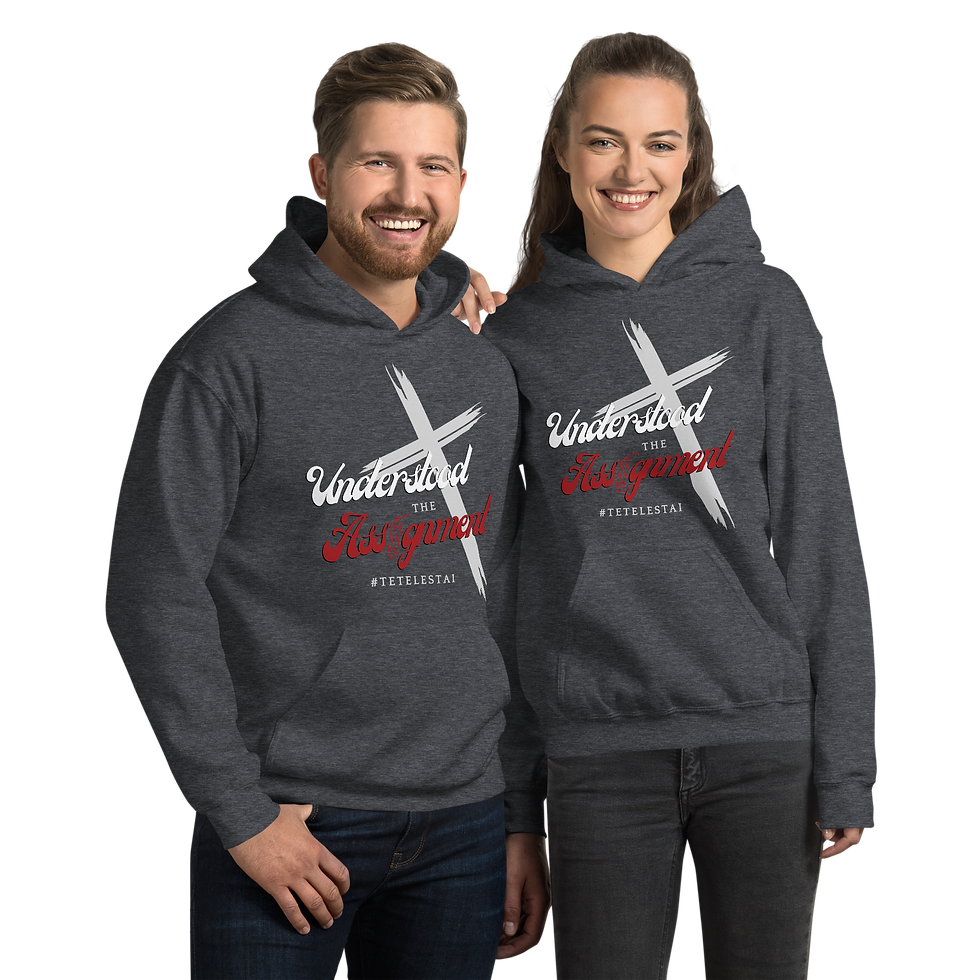Thumbnail: Understood the Assignment Unisex Hoodie