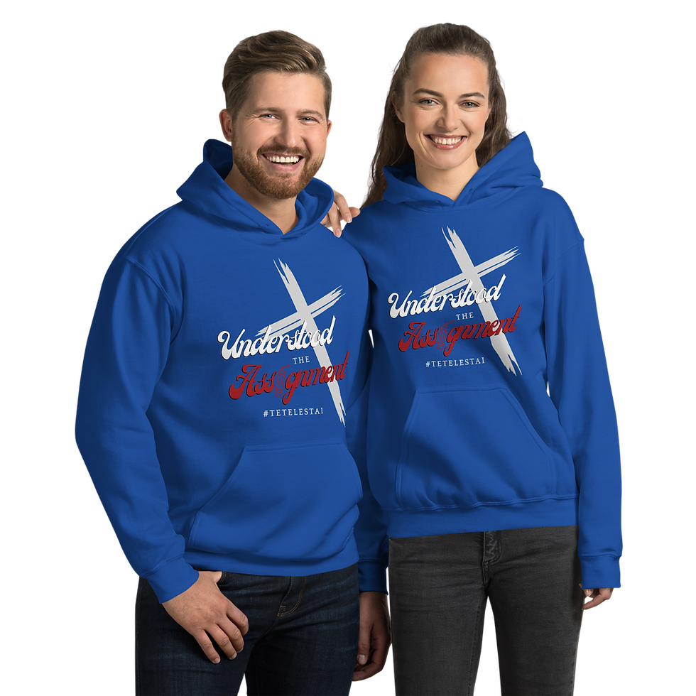 Thumbnail: Understood the Assignment Unisex Hoodie