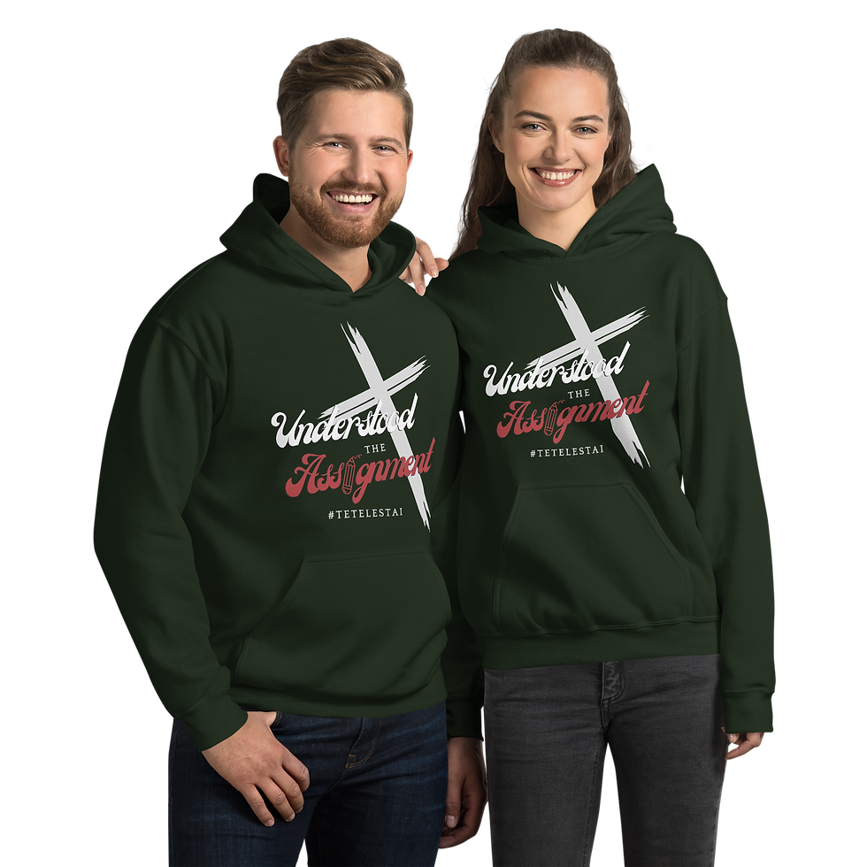 Thumbnail: Understood the Assignment Unisex Hoodie