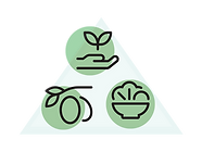 7.png
